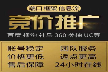 某电商平台的SEM策略与效果展示
