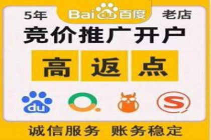 百度推广实战案例：如何精准投放广告